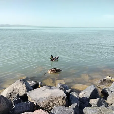 Lejlighed Lilla Siófok